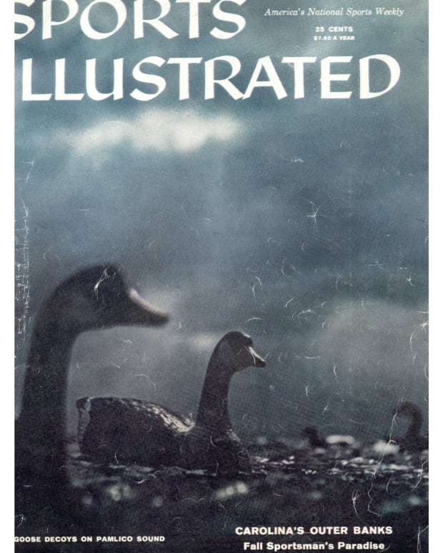 41428 - Cover Image